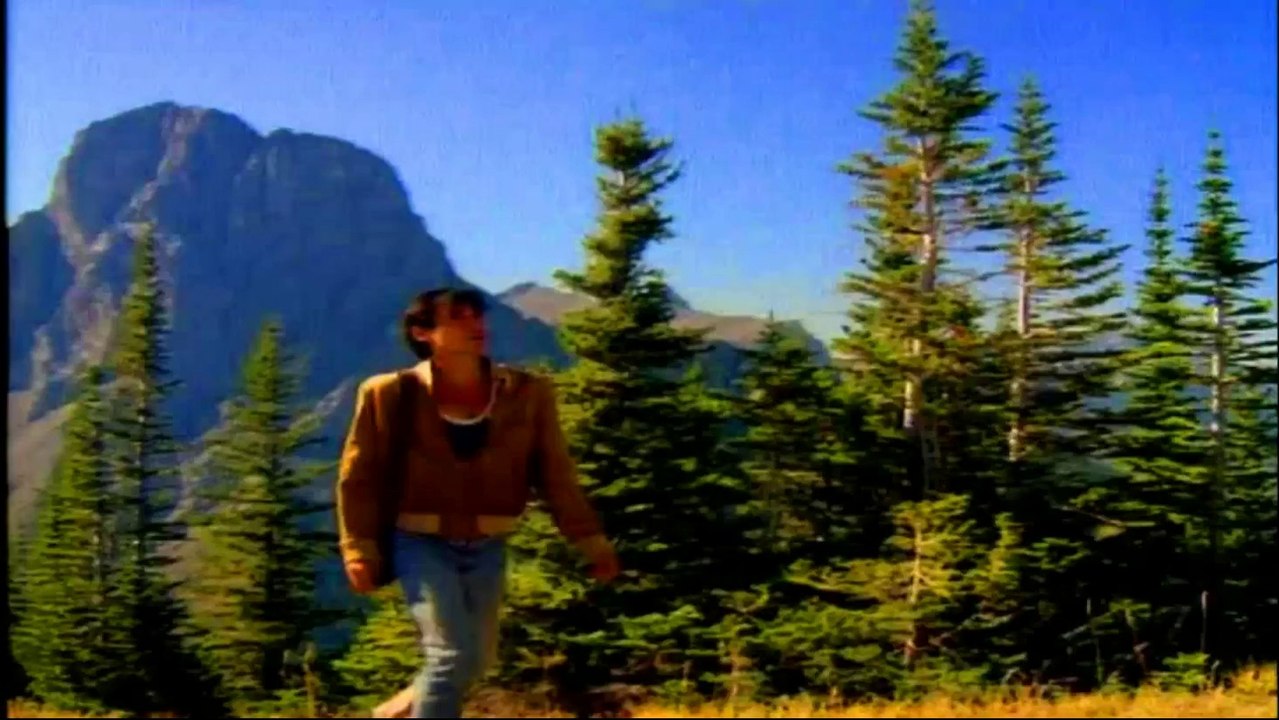 Pink Floyd - Learning To Fly HD