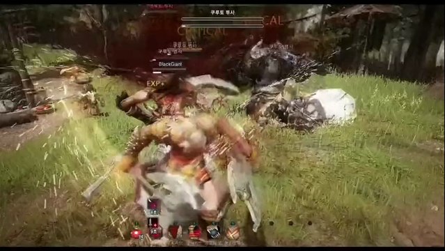 Black Desert Online - Quelques phases de combats
