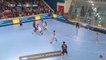 Handball - LNH-  PSG 30-28 Nantes - 10/04/2014