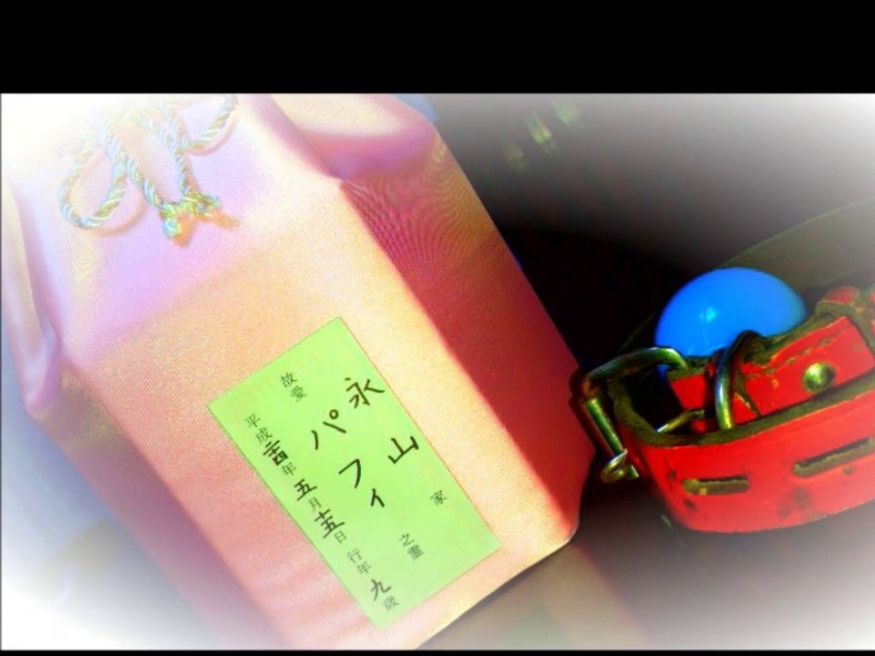 天まで届け…。