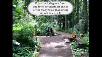 North Burnaby Condos For Sale