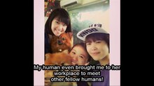 Kimchi needs Cesar!