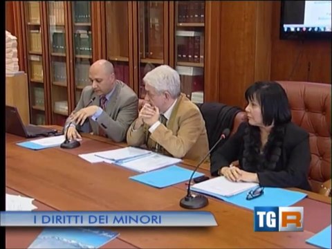 AMI AVVOCATI VIDEO: REPORTAGE CONVEGNO COSENZA. 27 FEB 2014.