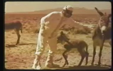 Declassified U.S. Nuclear Test Film #21