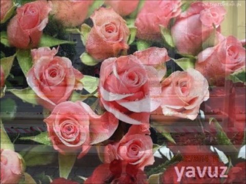 SELAMİ ŞAHİN-İYİKI VARSIN CANIM