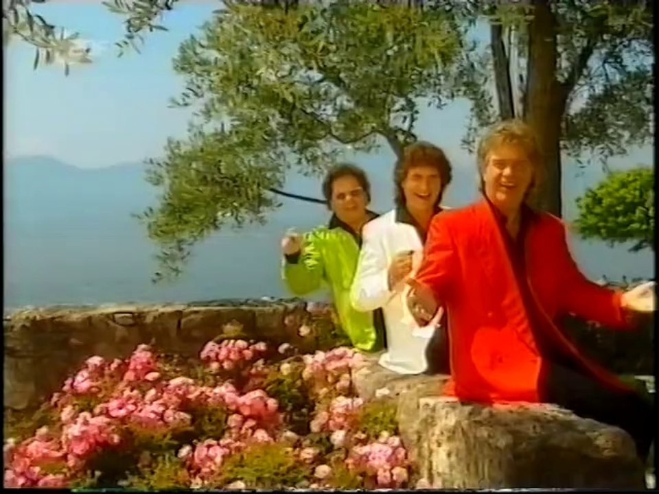 Super Hitparada - Die Schafer - Die Flippers