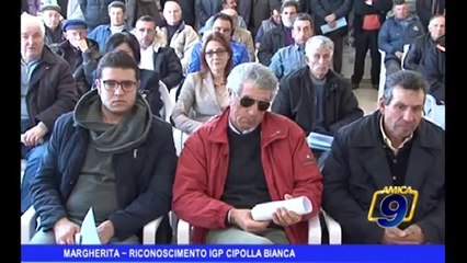 Margherita | Riconoscimento IGP Cipolla Bianca