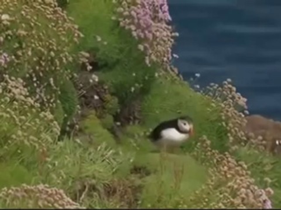 L'Ecosse, une nature parfaite