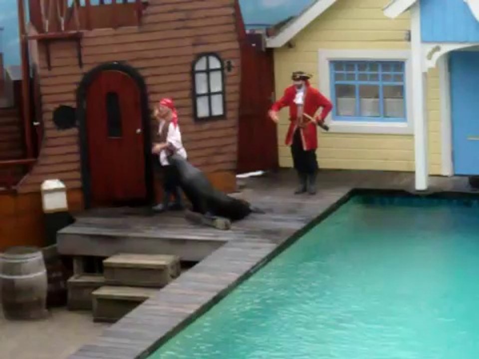 Zeeleeuwenshow @ Dolfinarium Harderwijk