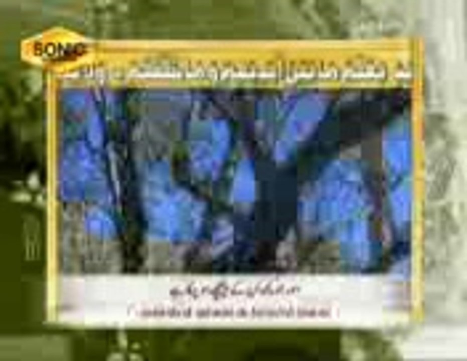 ayatul kursi 1