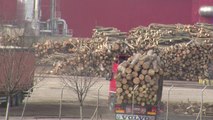 تفشي ظاهرة إزالة الغابات غير الشرعية في جنوب شرق أوروبا