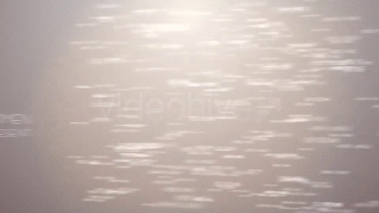 Text Form - After Effects Template