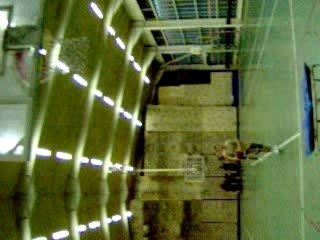 Chamalow nous fait Kermit la Grenouille