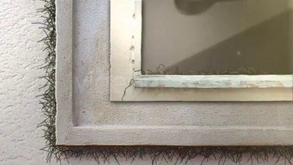 Peaceful Logo Presented Inside A Wall - After Effects Template