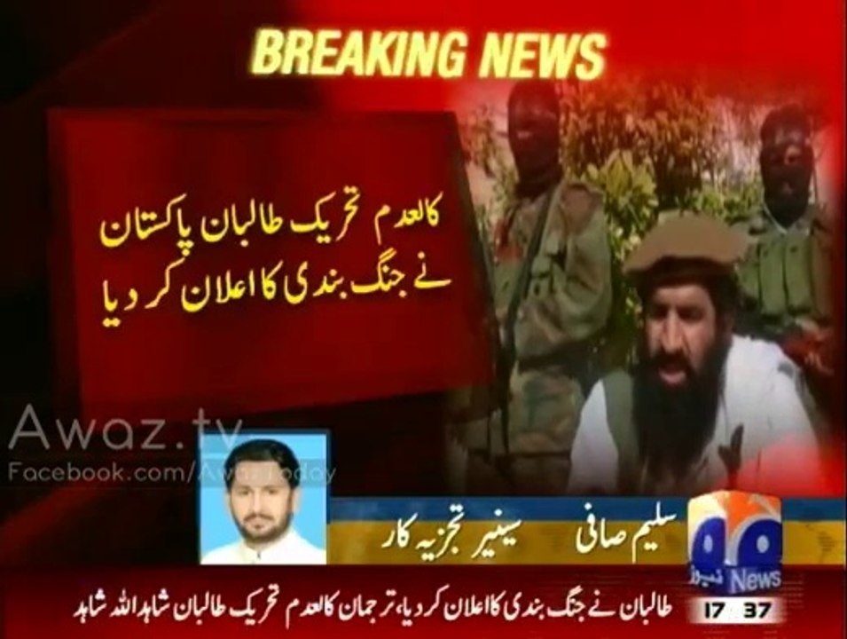 Analist on Taliban ceasefire