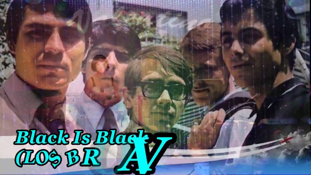 Los Bravos- BLACK IS BLACK- Bich Thuy cover Feb 21 2014