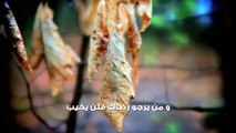 خالد الراشد - رسالة لكل انسان يريد النجاة و الحياة السعيدة HD