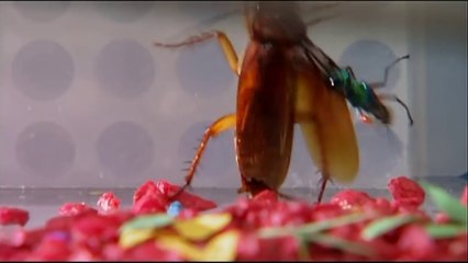 Venom HD: The Evolution of a Symbiote