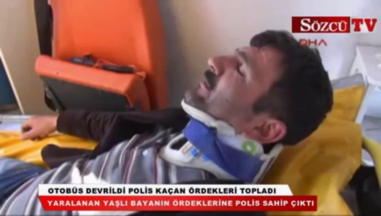 Otobüs devrildi polis kaçan ördekleri topladı