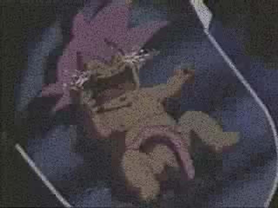 BestBroly