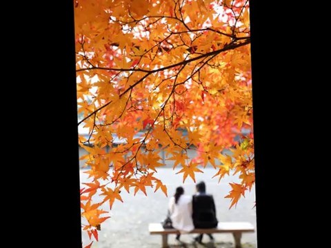 İLHAN İREM-BOŞ VER ARKADAŞ