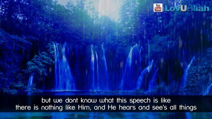 Secret Sins Of A Believer ᴴᴰ - Bilal Assad