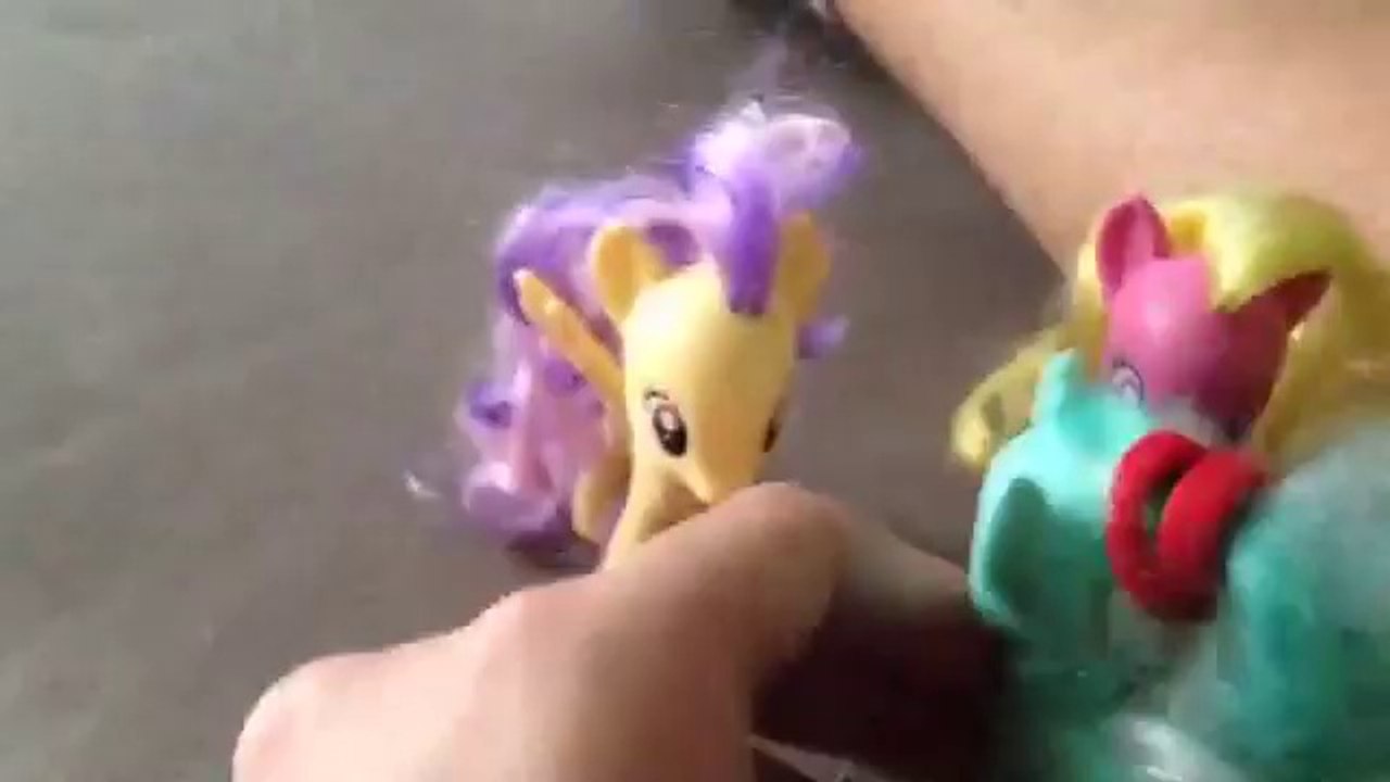 Pony fight