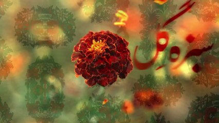 Junaid Jamshed Lawn-14 by She9