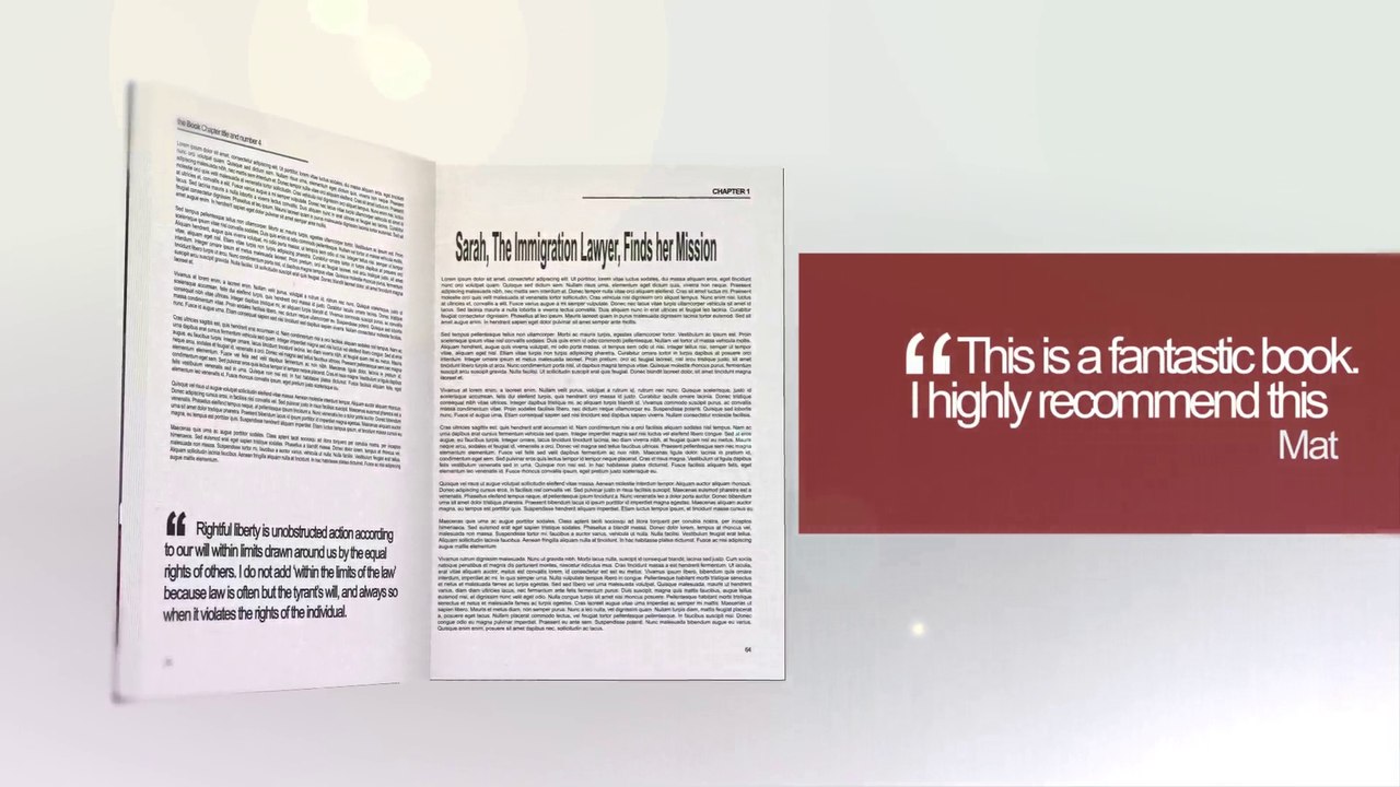 Amazing Immigration Legal Fiction - The Book The Immigration Lawyer - Asylum (FREE on Kindle Mar 1, 2014)