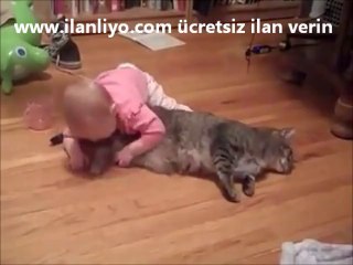 Kedi dostumuzun sabrı tüm insanlığa örnek olmalı..