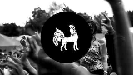 Youngblood Hawke - We Come Running (Vicetone Remix)