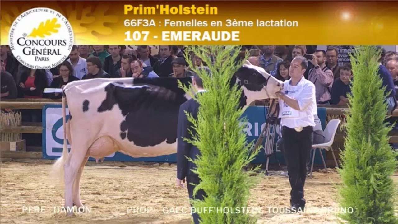 Meilleure Mamelle Adulte - SIA 2014