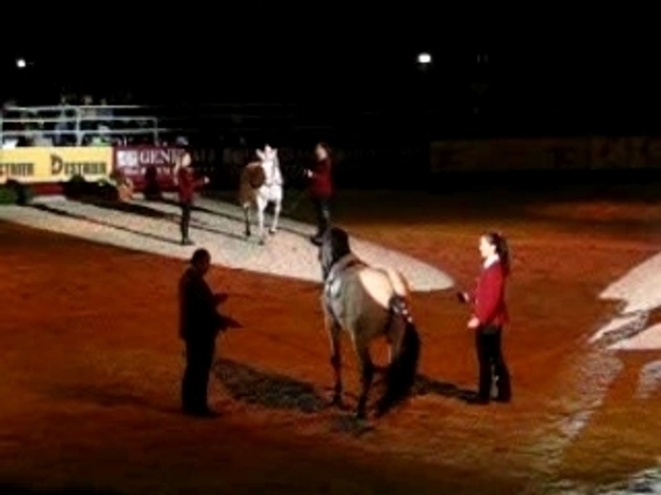 salonducheval 014