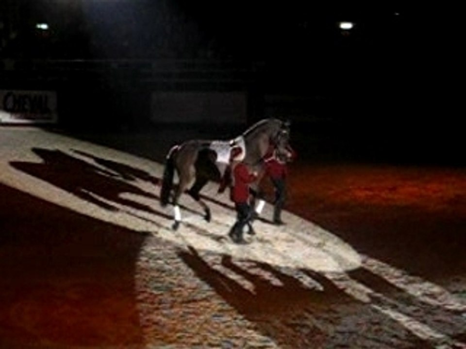 salonducheval 016