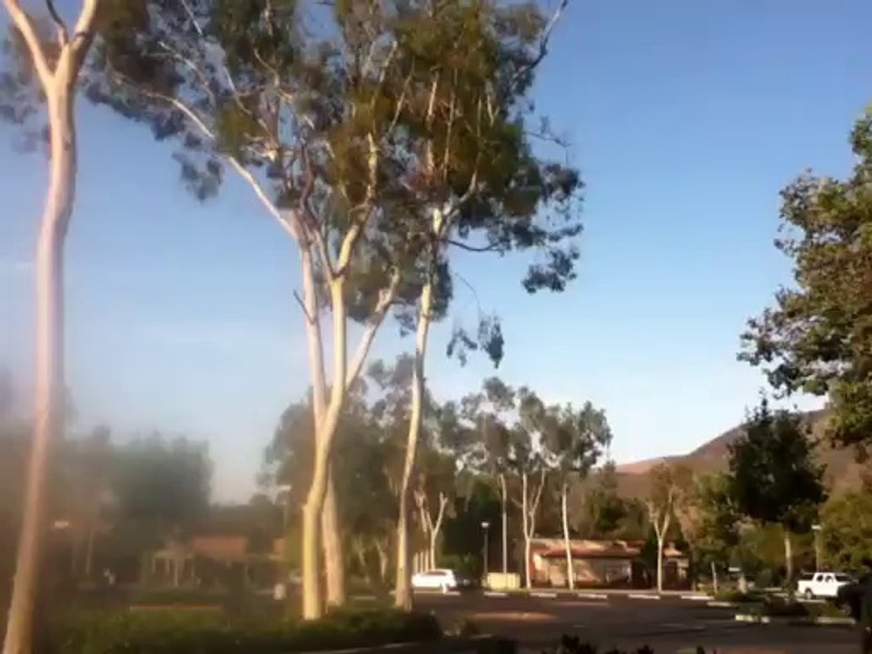 dios 004