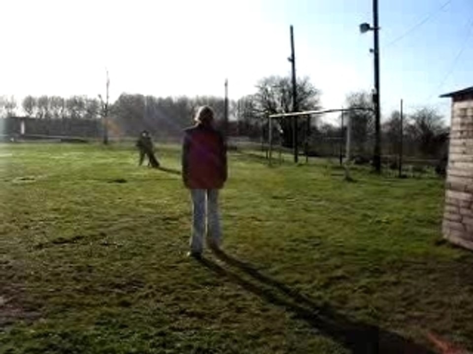 terrain Belgique