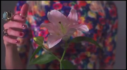 DIV-ZERO ONE【中日字幕】MV