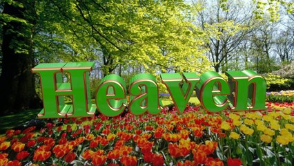 Magic of Money - These are the days ...