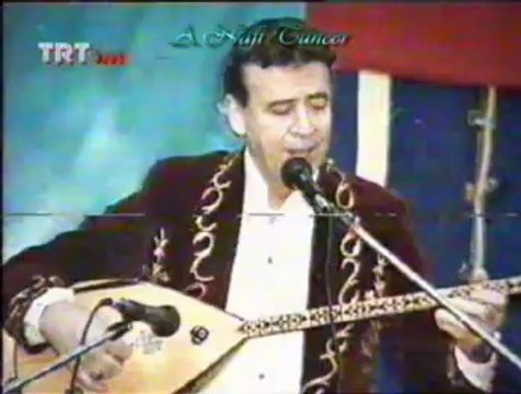 Hale GÜR-Dumanı Da Vardır Şu Dağların Başında (Bozdoğan Zeybeği)