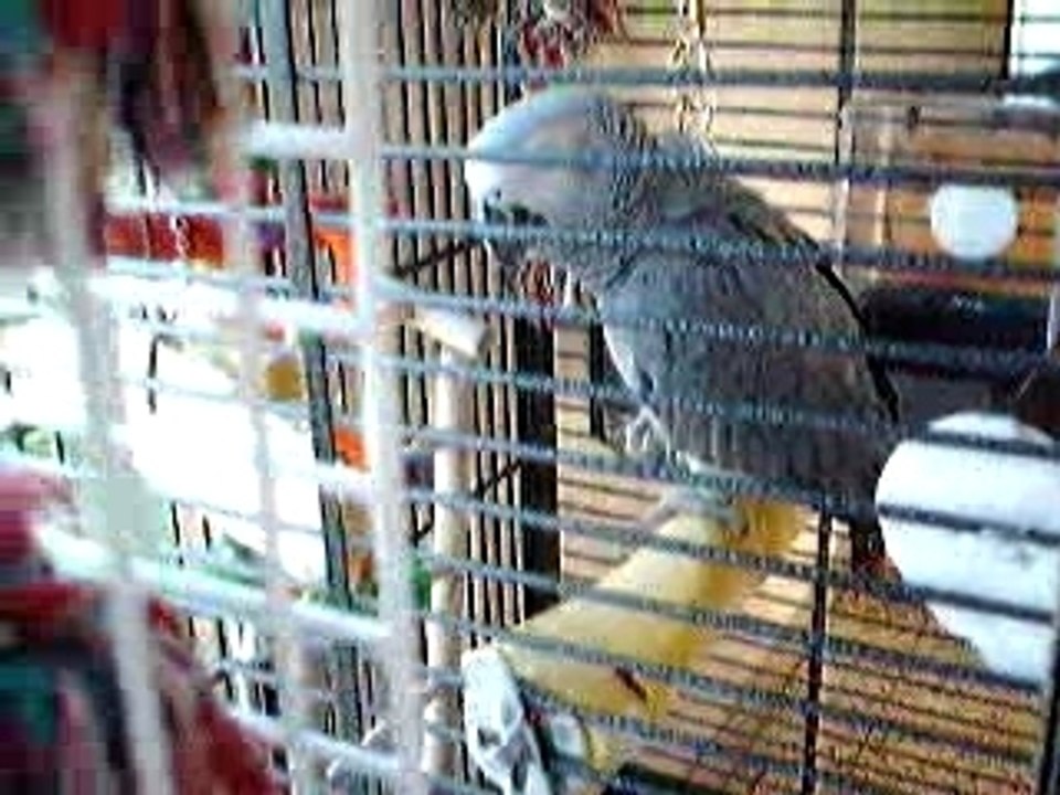 Copyouroc