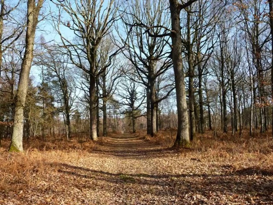 Rando du 16-2-2014