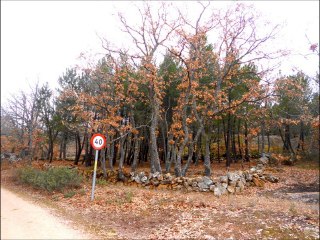 valonsadero 2 parte y pedrajas,soria.spain