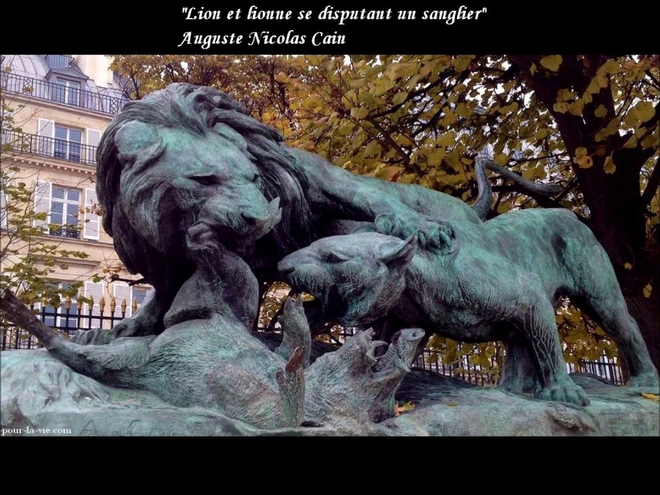 Le Jardin des Tuileries Paris