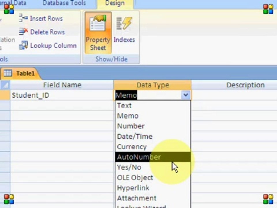 Ms Access 2007 in urdu part 2