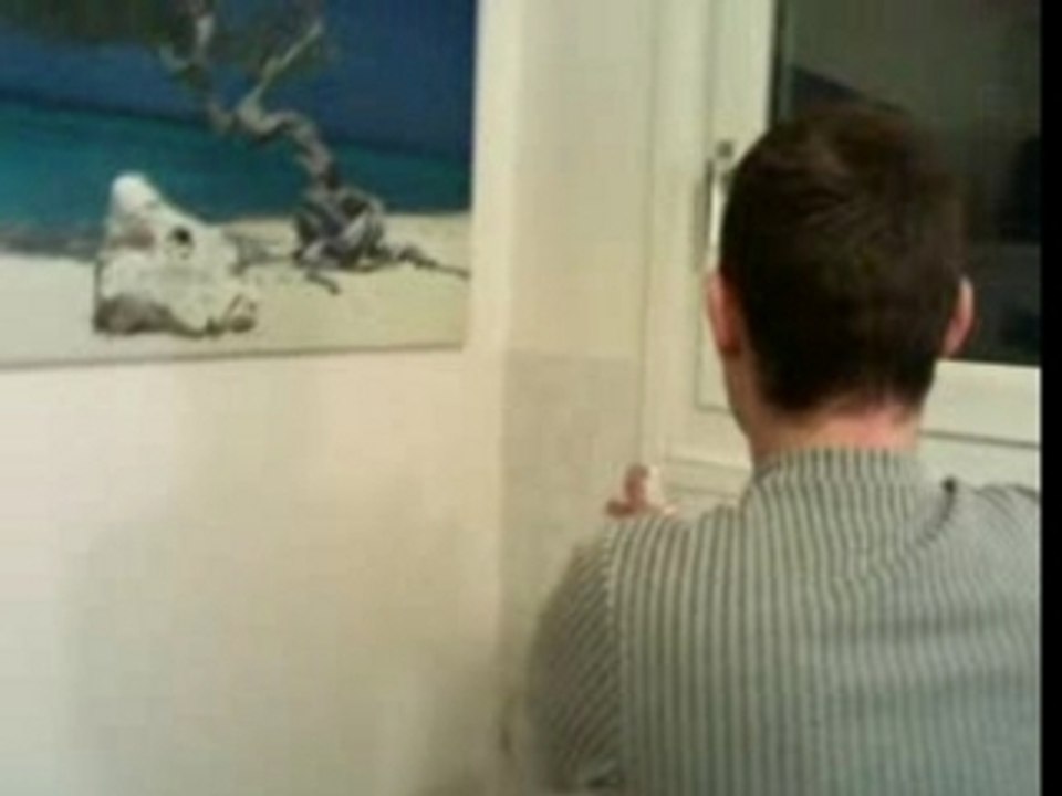 titi et son flamme: tueur de mouche