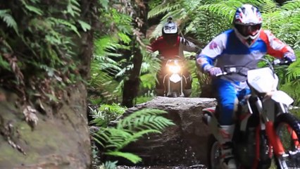FREERIDERS - Motocross