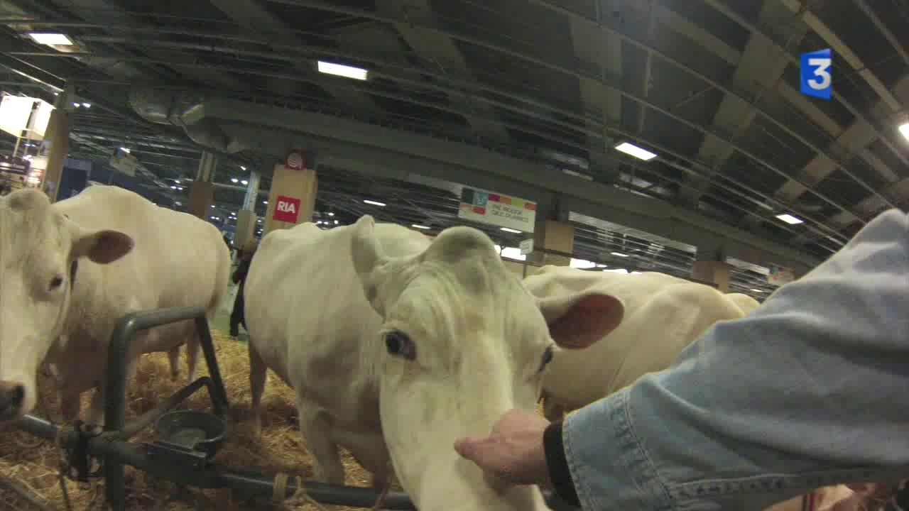 SIA 2014 : Nidal journaliste à 7 ans