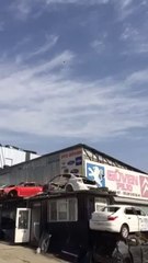 dumanlı dişi uzun oyunlu