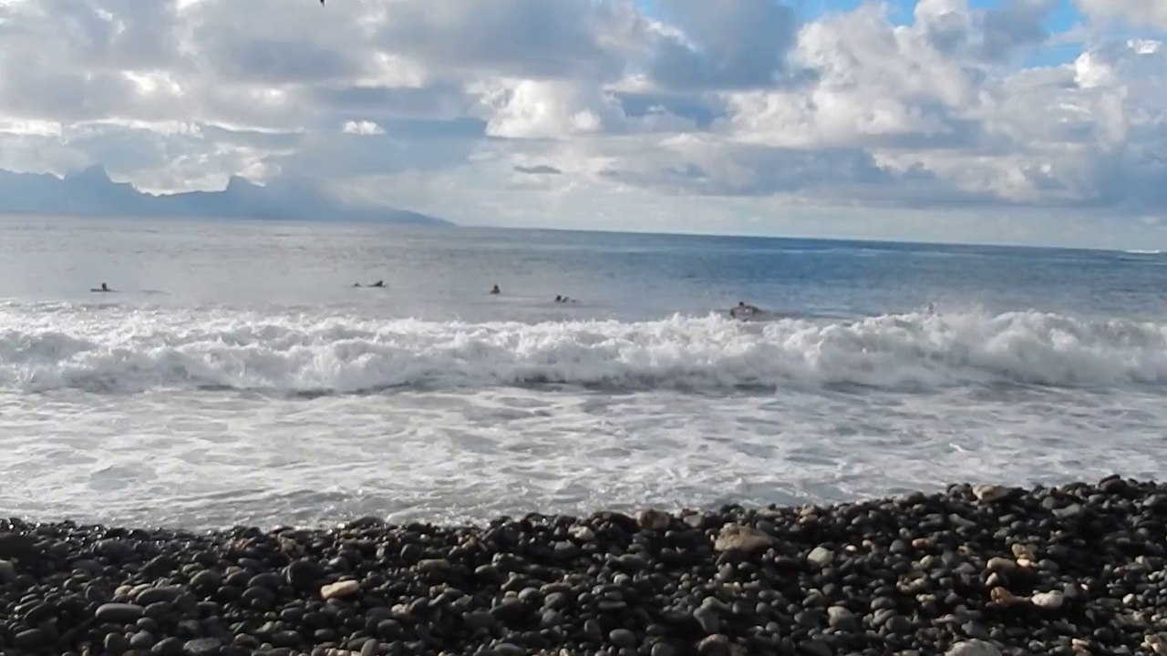 Surf