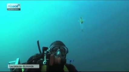 Fête européenne de l'image sous-marine